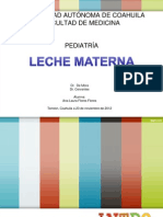 Leche Materna