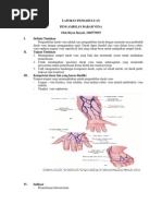 Download Laporan Pendahuluan- Pengambilan Darah Vena by Riyan Idayati SN126332280 doc pdf