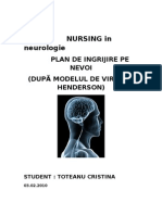 31248400 Toteanu Cristina Plan de Nursing Neurologie Plan de Ingrijire