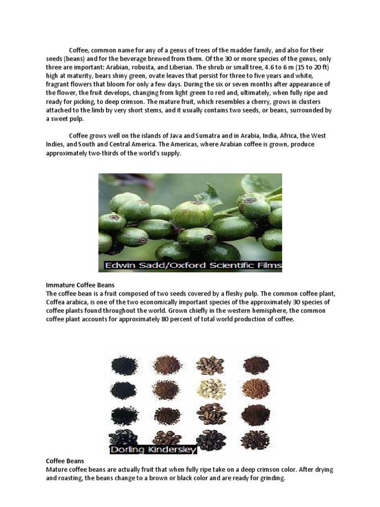 Coffee Plant Species and Characteristics | PDF | Coffee | Agronomy