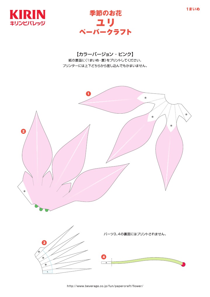 Flower Paper Model 6th | PDF | Language Arts & Discipline | Home & Garden