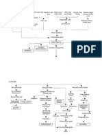 Pathway Urolithiasis