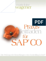 Praxisleitfaden Fuer Sap Co