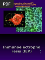 Download Immunoelectrophoresis IEP Serum Protein Electrophoresis SPE  Immunofixation IFX by kiedd_04 SN12638632 doc pdf