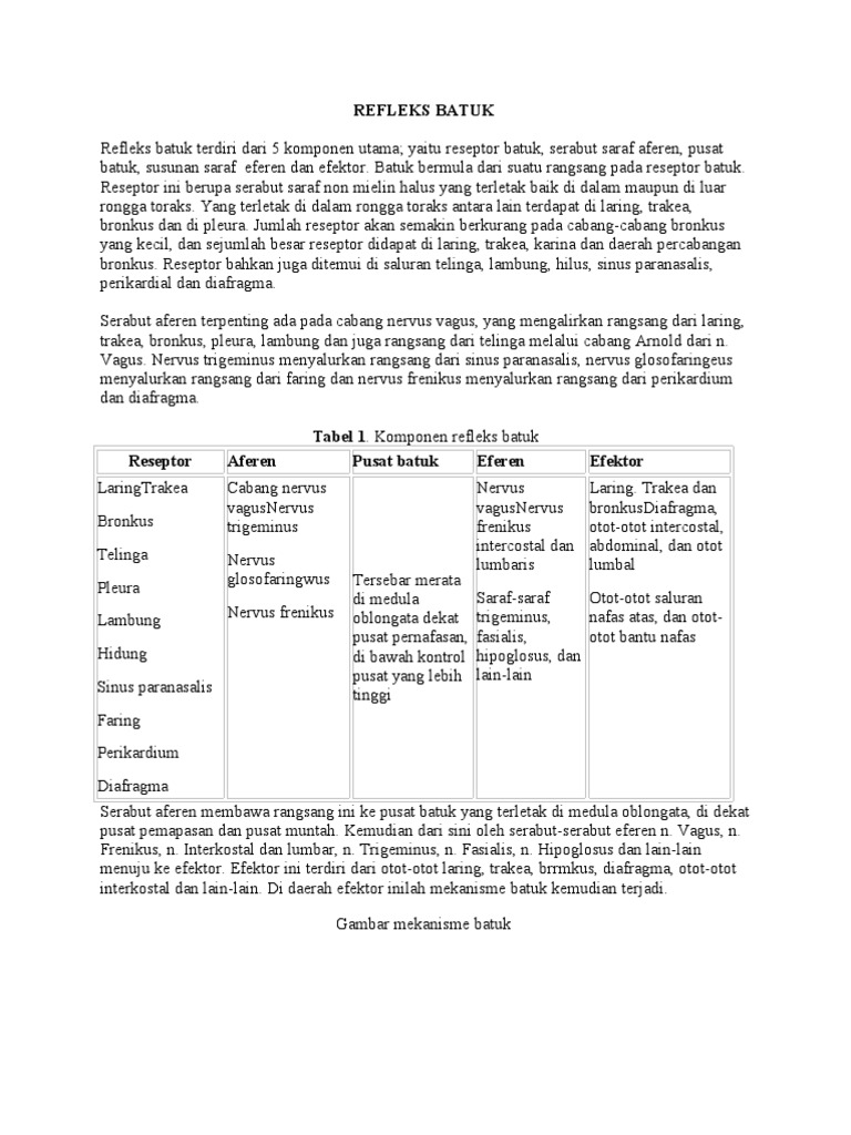 Mekanisme Batuk  Mekanisme Batuk