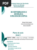Aula 5- Clitellata Hirudinomorpha