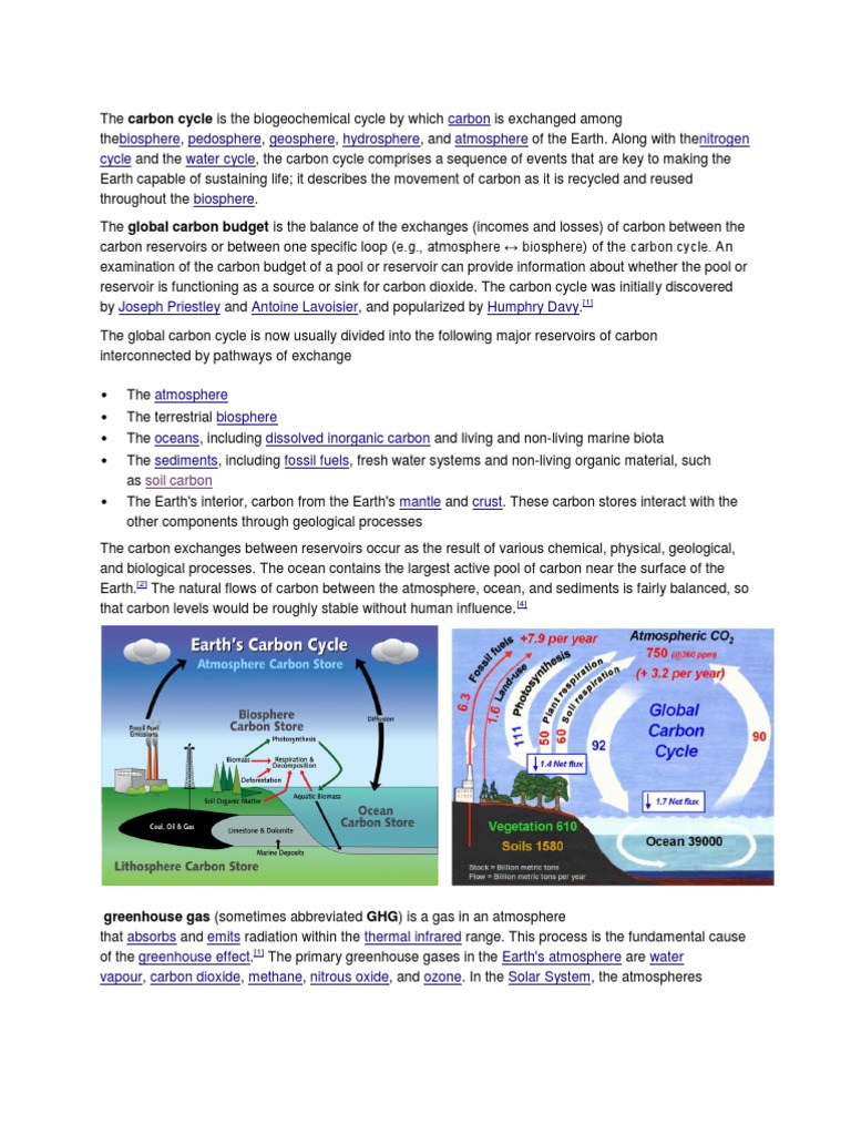 Understanding the Carbon Cycle Dynamics | PDF | Carbon Cycle | Physical ...