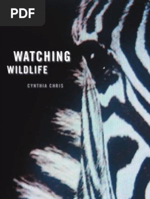 Watching Wildlife Television Zoo