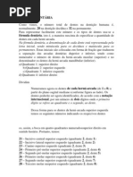 FÓRMULA DENTÁRIA
