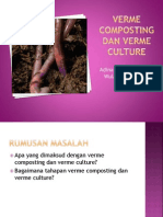 Verme Composting Dan Verme Culture