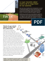 pipeline_insert_spanish.pdf