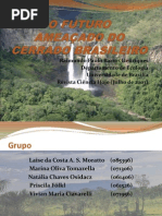 Futuro do cerrado