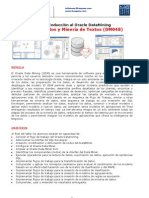 Brochure Taller de Inducción al Oracle DataMining Minería de Datos (DM048)