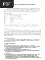 Download Budidaya Ketela Pohon Terbaru by mefridal SN12648232 doc pdf