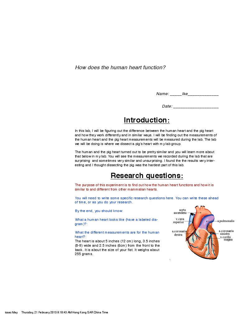 pig heart dissection lab ike edit Heart Valve Ventricle (Heart)