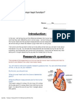 pig heart dissection lab ike draft