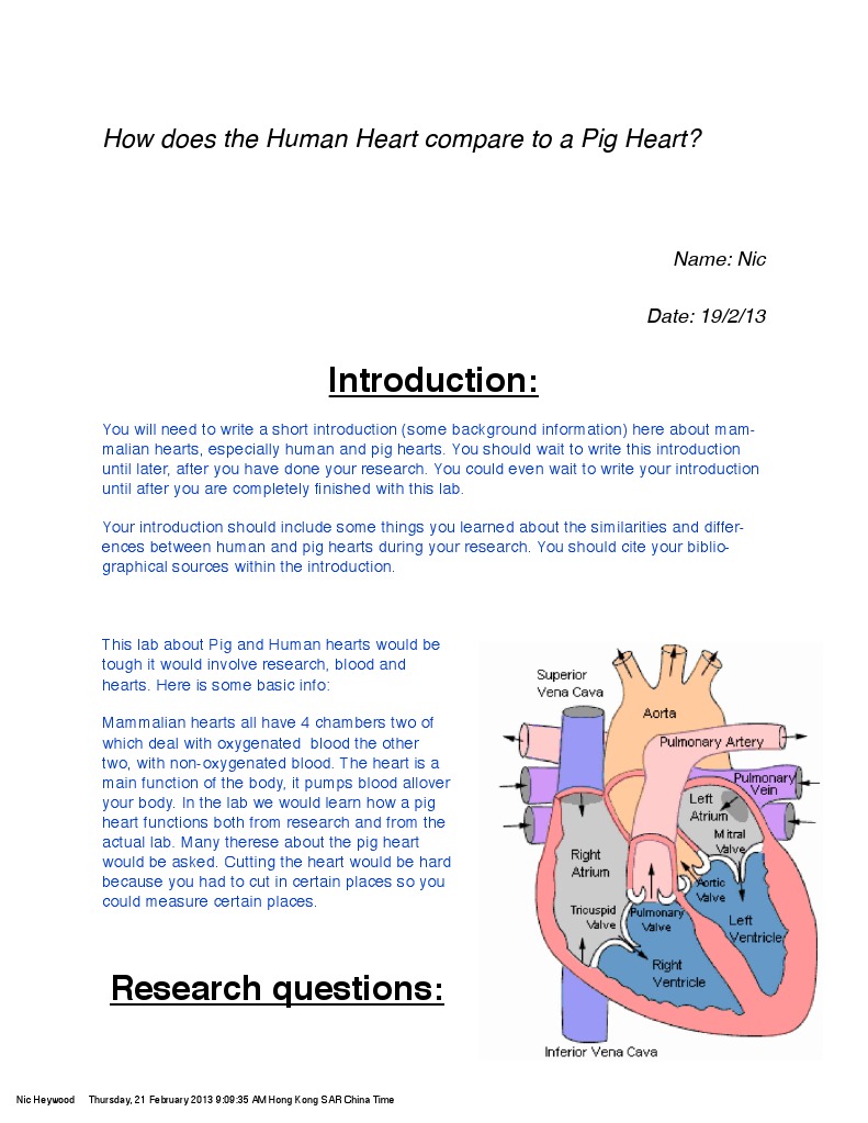 pig heart dissection lab 20122013 fist unicorn Atrium (Heart
