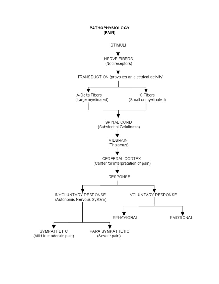 Pathophysiology of Pain | PDF | Self-Improvement | Wellness