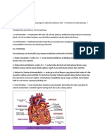 Aktivitas Jantung