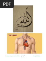 Download Cardiovascular system anatomy mcqs  by Dr Sajid Ali Talpur SN126523849 doc pdf