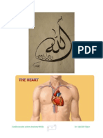 Cardiovascular System Anatomy Mcqs