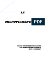 Micro Pigment Ac I On