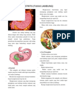 Gastritis Atau Radang Lambung Yang Juga Dikenal Dengan Sakit Radang Maag Namanya