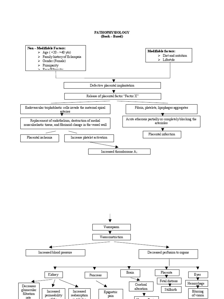 Pathophysiology Eclampsia PDF