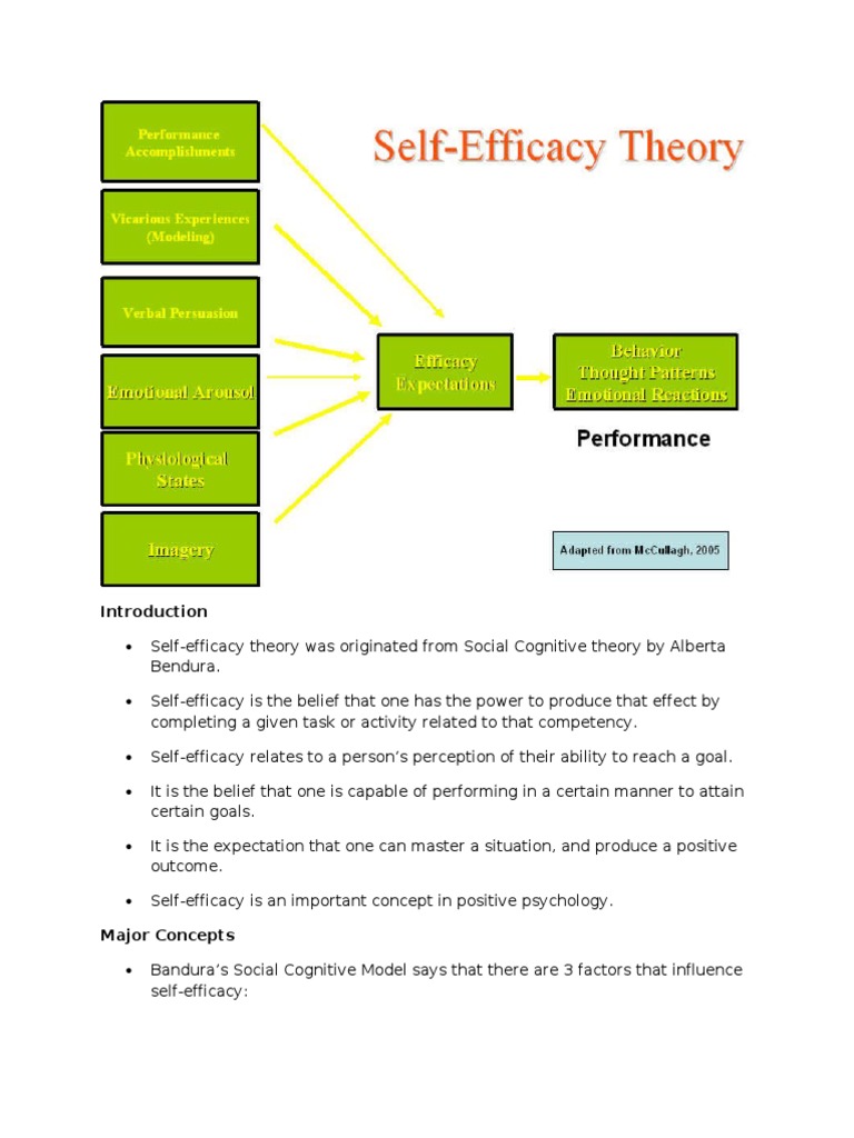 Self Efficacy | PDF | Self Efficacy | Metaphysics Of Mind