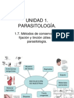 1.7.metodos de Fijacion