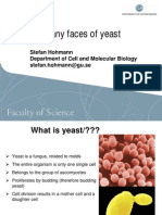 The many faces of the versatile yeast cell