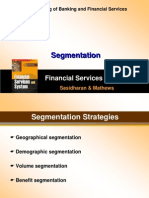 Segmentation: Financial Services and System