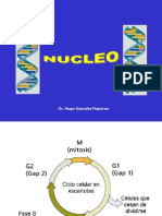 LEC 10 Nucleo