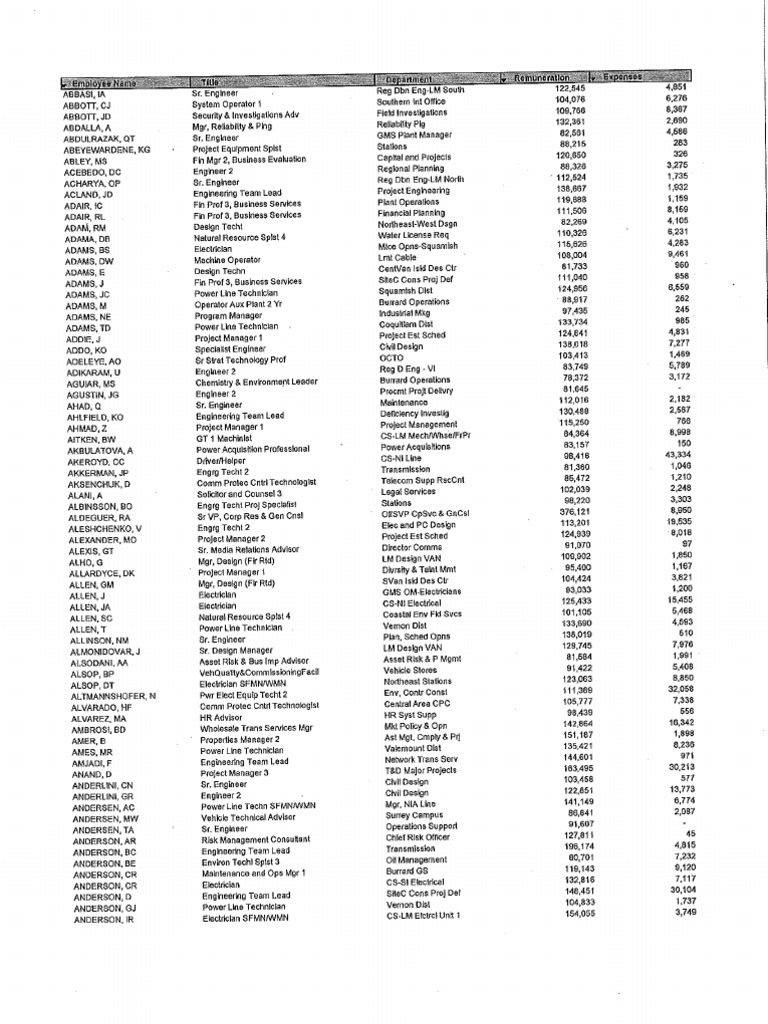 BCH Employees Remuneration PDF Employment Employee