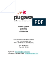 Presentación Pugasa PDF