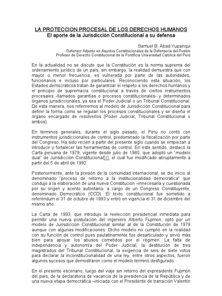 La Proteccion Procesal de Los Derechos Humanos | PDF | Habeas corpus ...