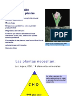 Nutrición mineral de las plantas: N-P-KCa-MgS-Si Cl-FeB-MnZn-CuNi-MoNa