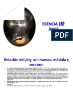 ESENCIA (精 JING)