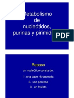 Purinas y Pirimidinas