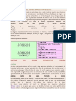 Anatomia y Fisiologia Del Sistema Reproductor Femenino