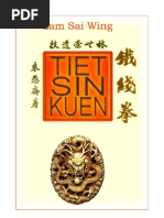 Hung Gar Lam Sai Wing Tiet Sien Kwuen The Iron Thread