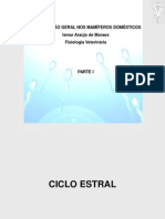 Ciclo Estral Gestacao_site