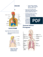 Anatomi Pernapasan
