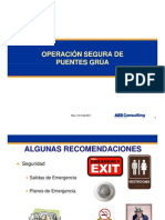 63651966 Operacion Segura de Puentes Grua