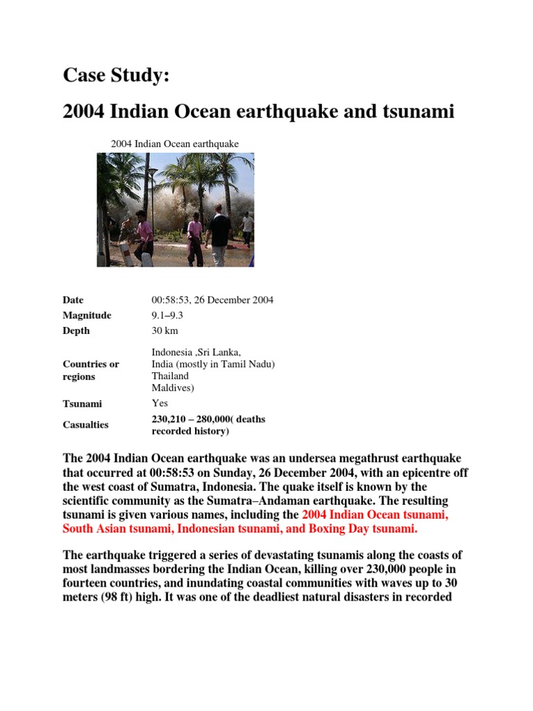 2025 tsunami case study