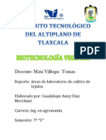 Laboratorio biotecnología vegetal áreas funciones