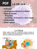 La Célula