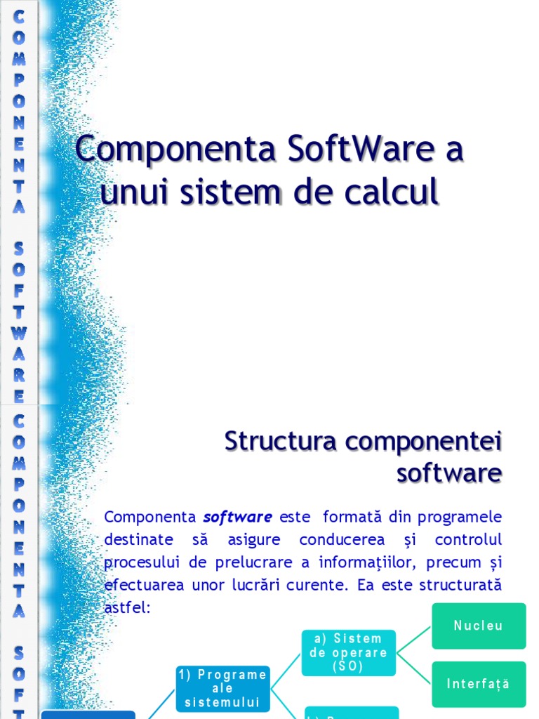 Componenta SoftWare A Unui Sistem de Calcul | PDF