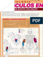 Ejercicios de Fortalecimiento (Musculación) Tomados de Muscle & Fitness - 102 Pags en PDF