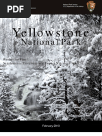 Download Yellowstone National Park Winter Use PlanSupplemental EIS by Bozeman Daily Chronicle SN126769782 doc pdf